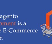 Magento Development